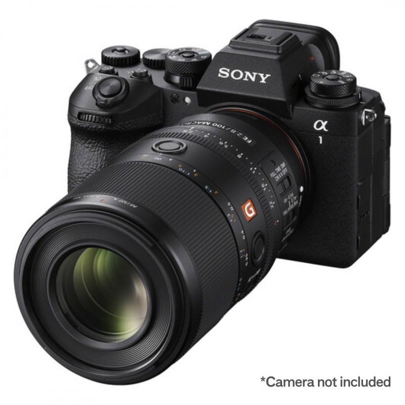Sony FE 100mm F2.8 Macro GM OSS